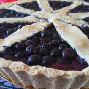 Vegan, gluten free and dairy free blueberry pie